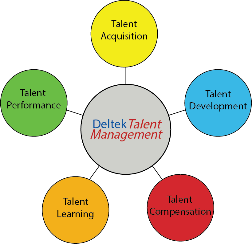 deltek talent talent management system for deltek vision talent management system