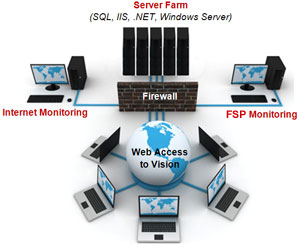 Deltek Vision Hosting 