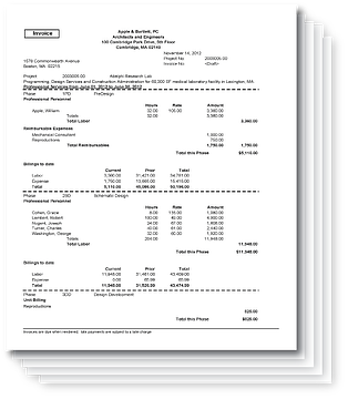 Deltek Vision Invoice Original Prior to Custom Services