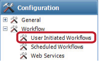User Initiated Workflow