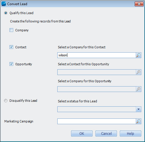 Deltek Vision CRM Lead Management Conversion