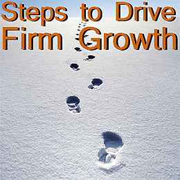 drive firm growth