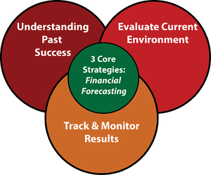 Strategies for Financial Forecasting