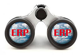 erp search, deltek vision