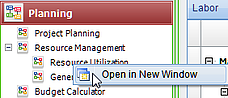 Deltek Vision Resource Planning