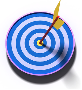Project Success, Client Feedback Tool