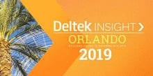 Deltek Insight 2019 Orange-1