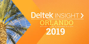 Deltek Insight 2019 