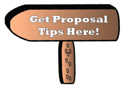 Business Proposal, Proposal Process  