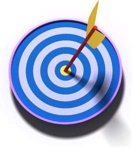 Project Success, Client Feedback Tool