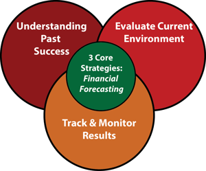 Strategies for Financial Forecasting