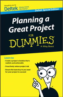 Planning a Great Project for Dummies 