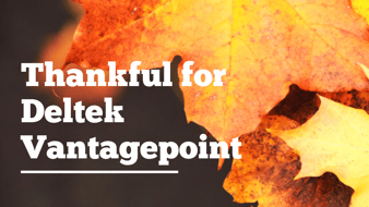 Fall Image with Thankful for Deltek Vantagepoint text
